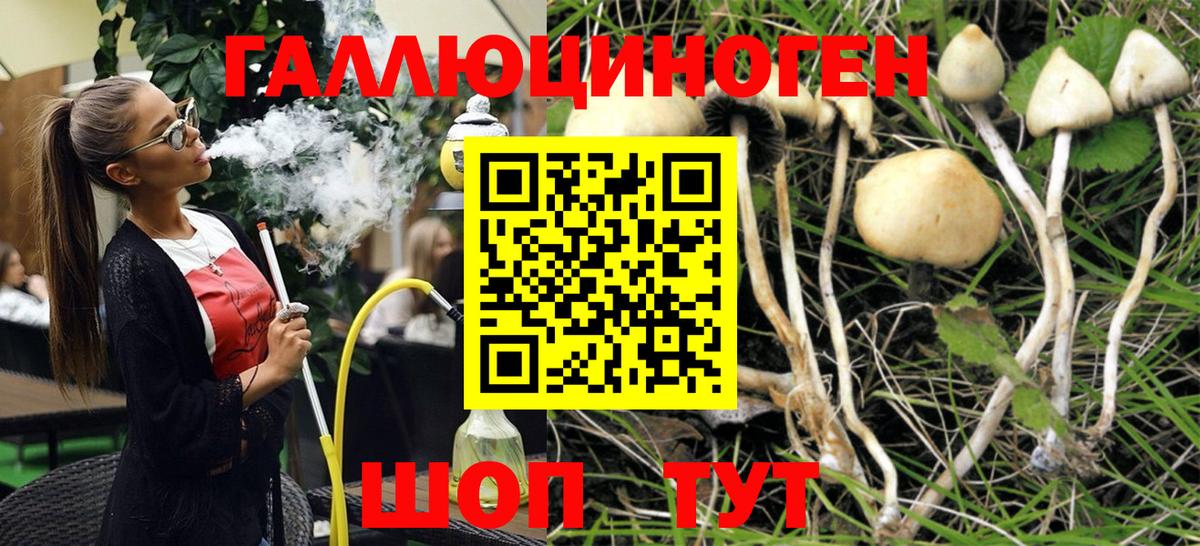 Приморско-Ахтарск  Псилоцибиновые грибы MAGIC MUSHROOMS  Вход с VPN 